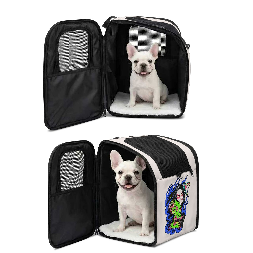 Dragon Lady Pet backpack