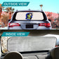 Dragon Lady Thin Car Rear Sun Visor
